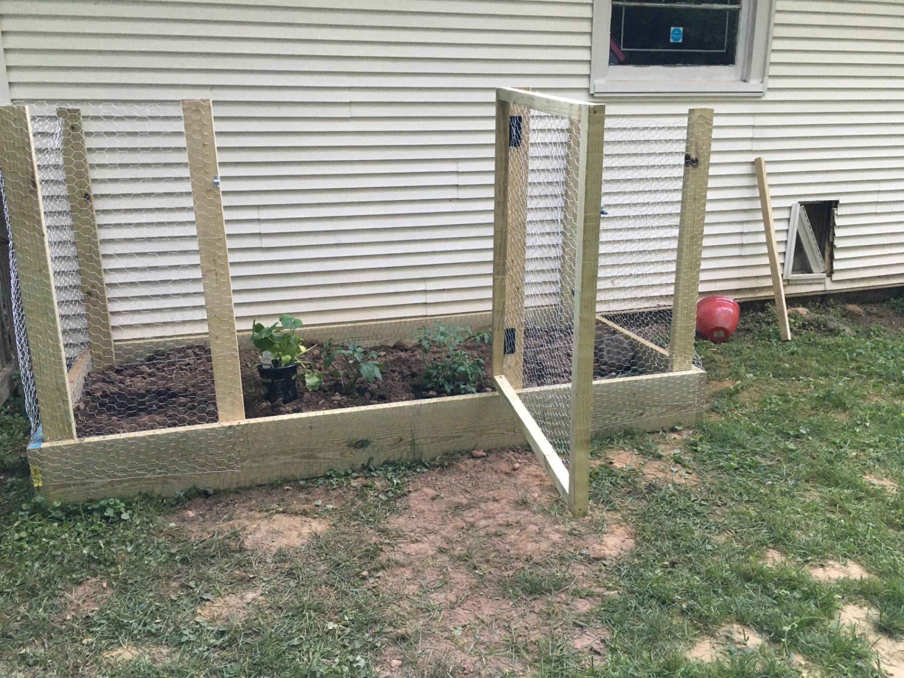 Raised garden bed with wire enclosure